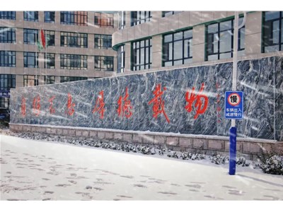 春日奇景！雪后的沸腾，同学们“占领”操场，嗨翻！
